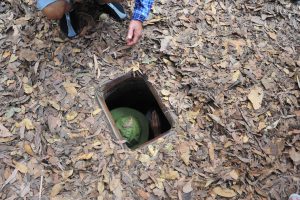 สถาบันวิจัยศิลปะและวัฒนธรรมอีสาน สร้างเครือข่าย ณ กรุงพนมเปญ โฮจิมิน