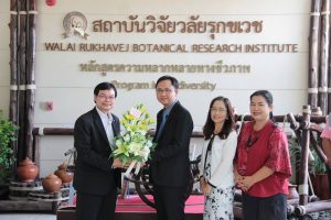 สถาบันวิจัยศิลปะและวัฒนธรรมอีสาน ร่วมแสดงความยินดีในพิธีส่งมอบงานและรับมอบงานในตำแหน่ง ผู้อำนวยการ สถาบันวิจัยวลัยรุกขเวช