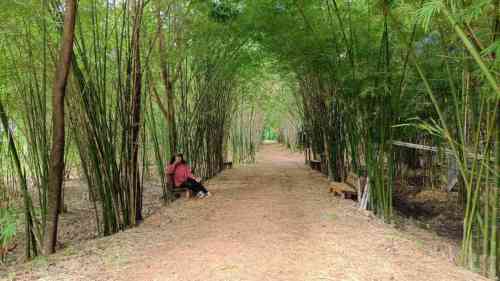 จัดกิจกรรมเส้นทางท่องเที่ยว “สุขภาพดี เกษตรอินทรีย์ สะดืออีสาน”